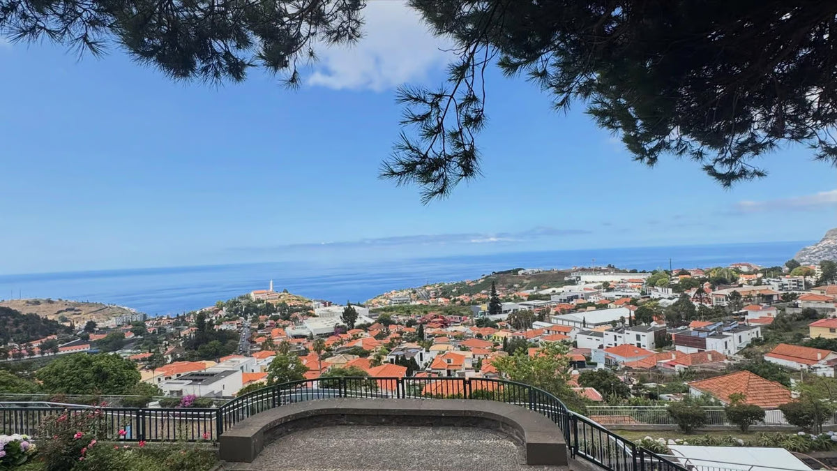Private Discovery tour: Curral das Freiras, Pico dos Barcelos, and Eira do Serrado