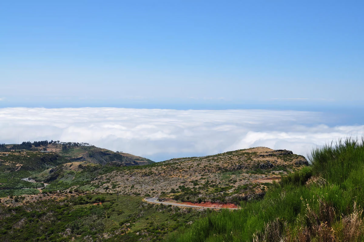 East Coast Heritage Route: Pico do Arieiro & Traditional Santana