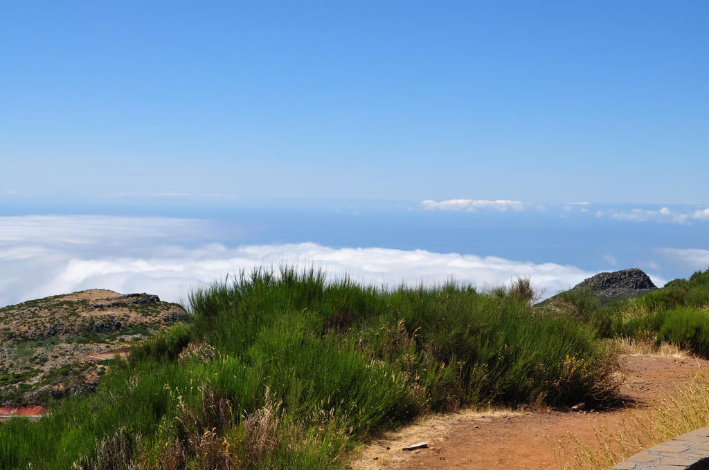 Private East Coast Heritage Route: Pico do Arieiro & Traditional Santana
