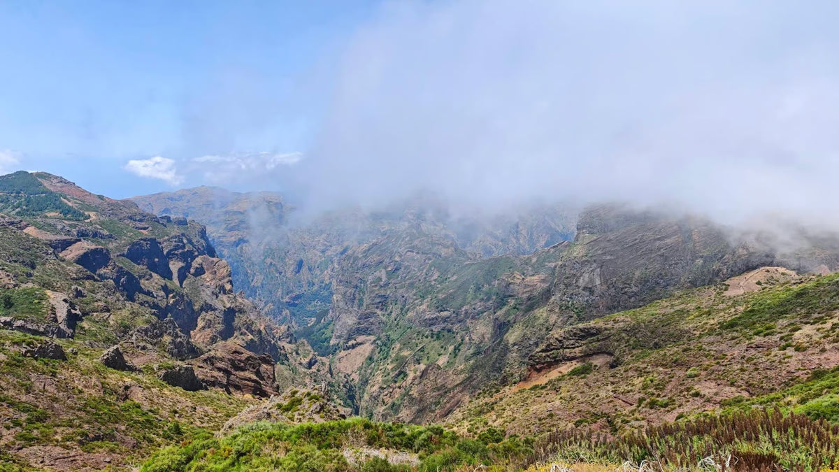 Private Discovery tour: Curral das Freiras, Pico dos Barcelos, and Eira do Serrado